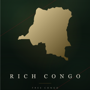 Rich Congo print